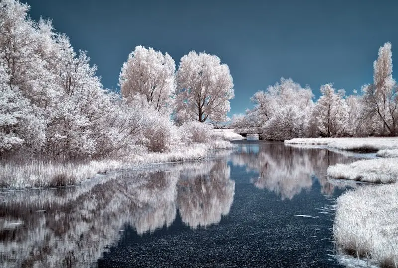 Master Infrared Photography with Your Mirrorless Camera