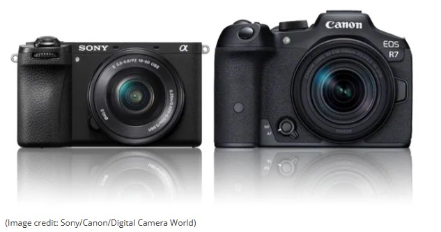 Choosing Between Full Frame and Crop, DSLR or Mirrorless: Entry & Mid-Range Camera Comparisons